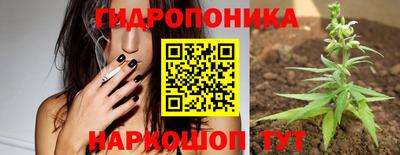 амф Будённовск