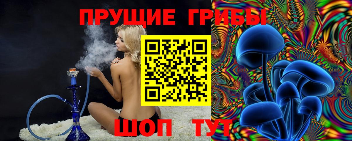 Галлюциногенные грибы мухоморы  купить закладку  Славянск-на-Кубани  Вход с VPN 